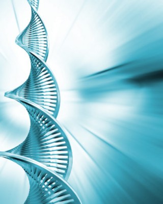 DNA Activation for Ascension Acceleration