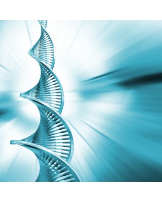 DNA Activation for Ascension Acceleration